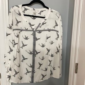 CJ Banks white/black blouse